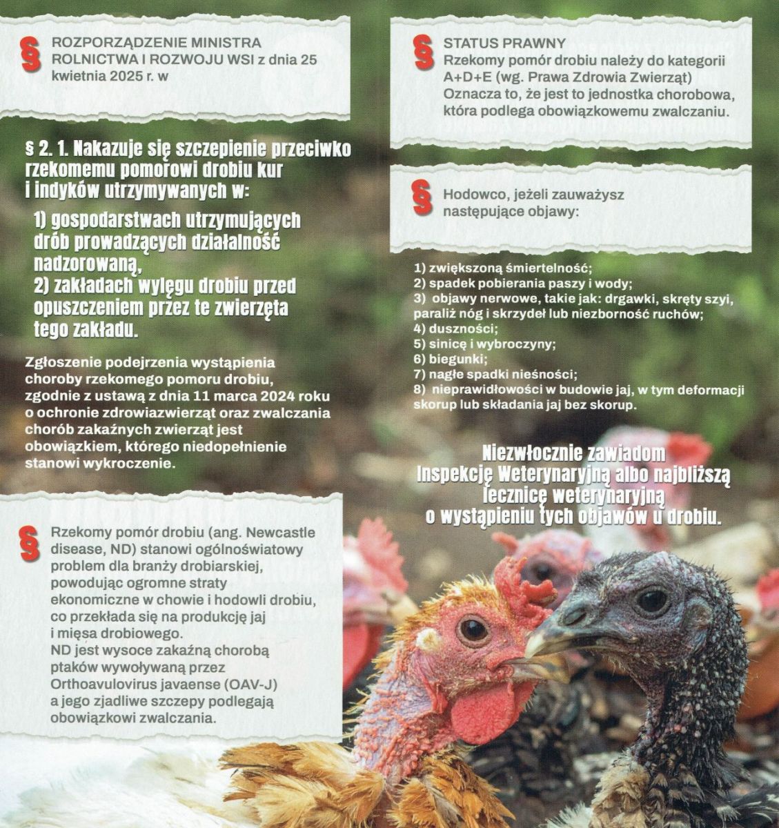 Rzekomy pom&oacute;r drobiu (ND) &ndash; ulotka informacyjna