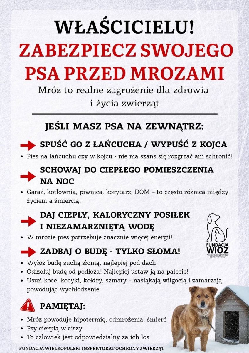 Zdjęcie: Zabezpieczenie zwierząt przed mrozami