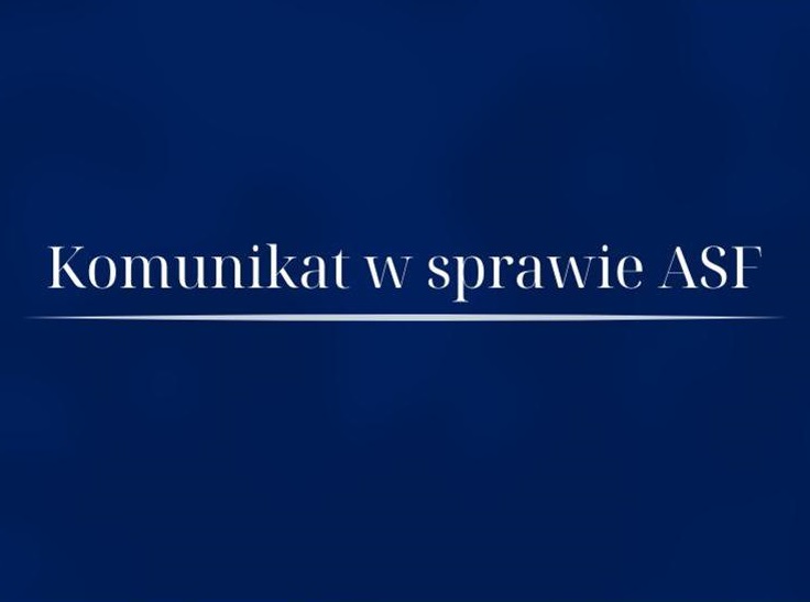 Zdjęcie: Afrykański pomor świń u dzików na terenie powiatu wałeckiego